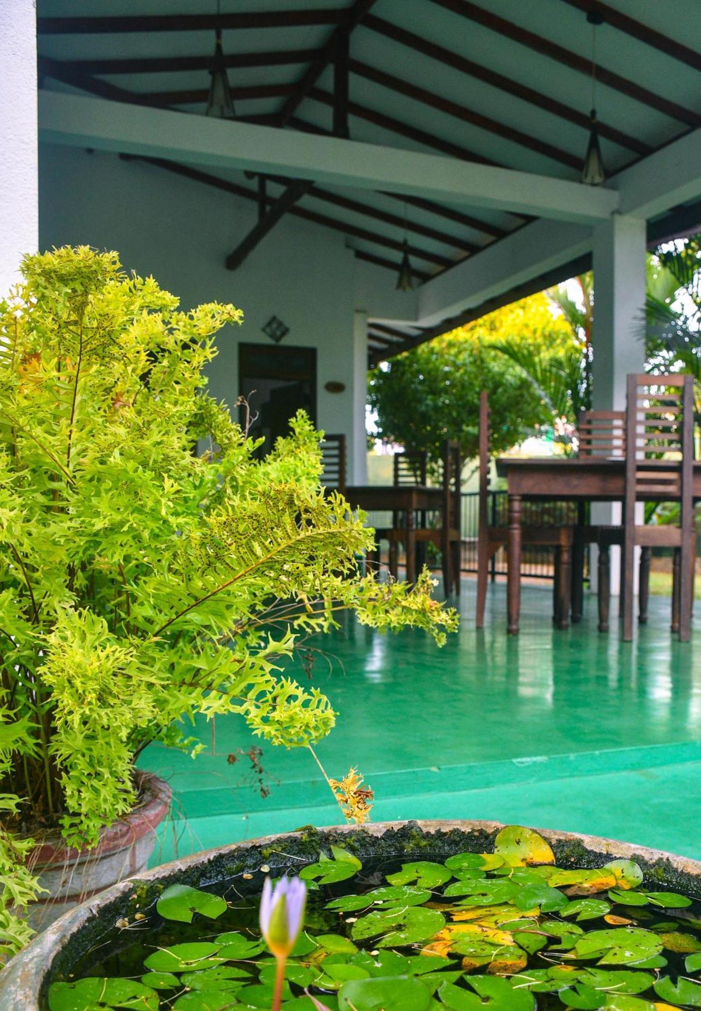 White Eagle Hotel Sigiriya Exterior photo
